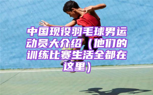 中国现役羽毛球男运动员大介绍（他们的训练比赛生活全都在这里）