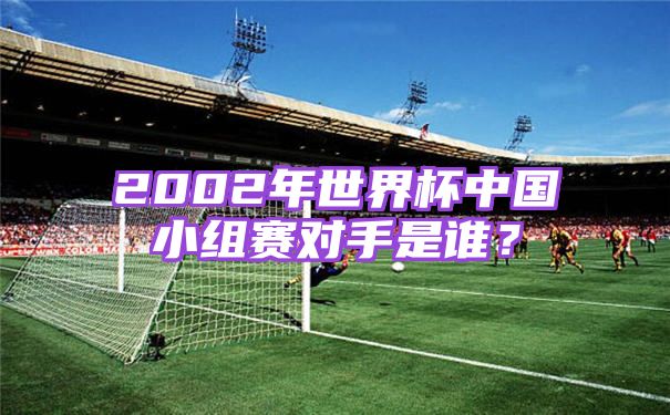 2002年世界杯中国小组赛对手是谁？